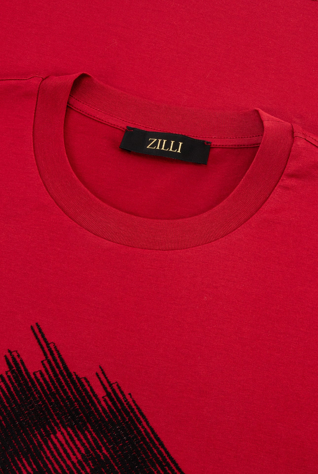 T-shirt with Lion Stripes Embroidery