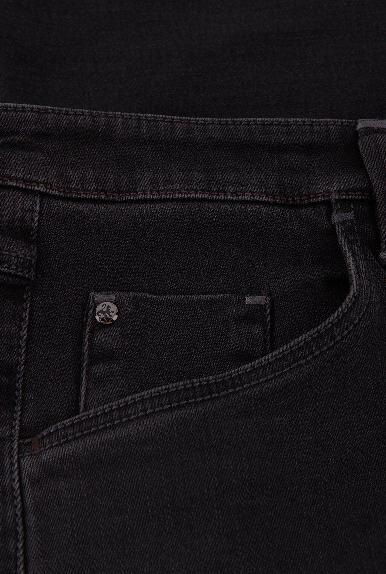 Slim Fit Jeans with Lion in the wind Embroidery